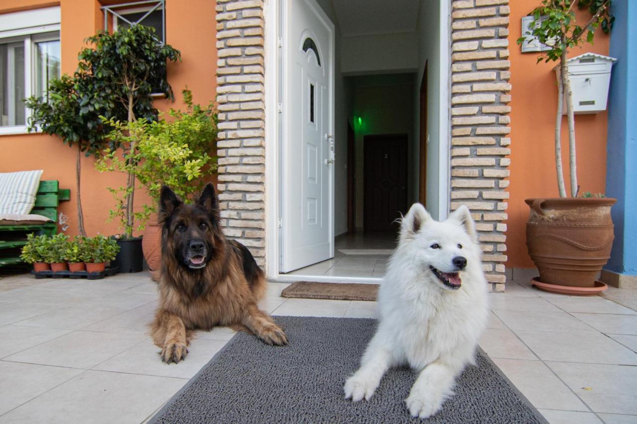 Tsertos Apartments กาเมนาวูร์ลา ภายนอก รูปภาพ
